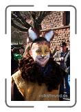 1661436_1_schaerensprung_biewer_2010_019 * 233 x 351 * (43KB)